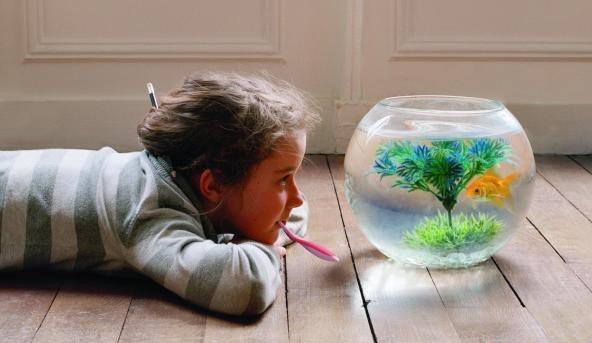 аквариум и ребенок