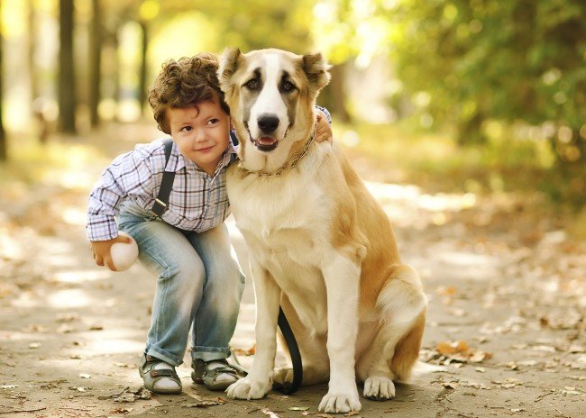 ребенок и собак, любовь к животным, домашние животные,