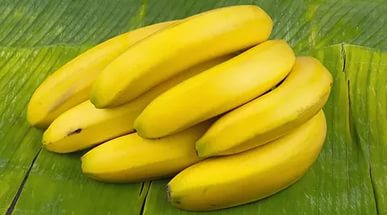 Бананы - это фрукты или нет