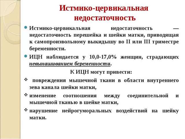 ИЦН описание