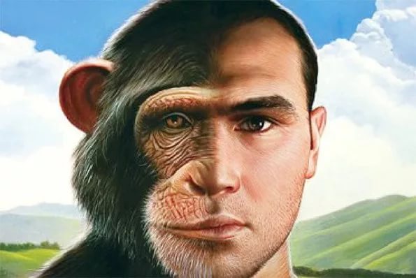 человек-обезьяна, что общего?