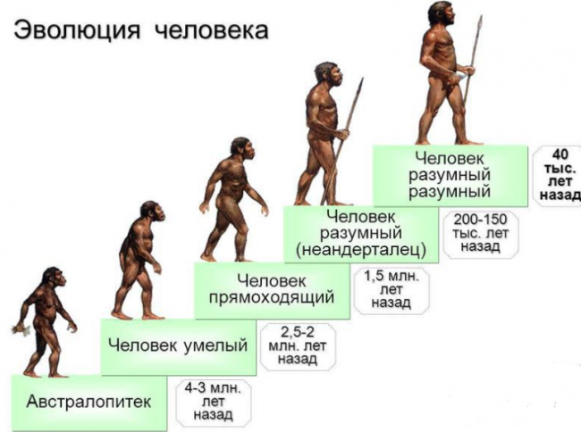 Какое событие произошло примерно 40 тысяч лет назад (варианты)?