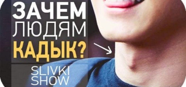 мужской кадык