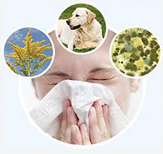 Причиной аллергии может быть любое вещество, воспринимаемое организмом как токсин.