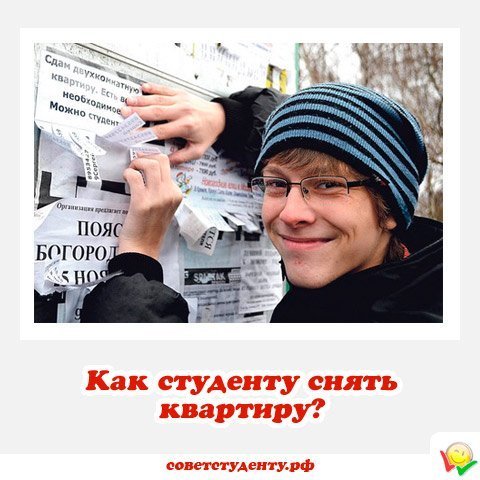 как студенту снять квартиру