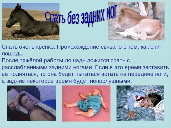 Что означает выражение "без задних ног"?