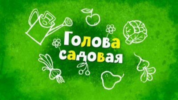 Садовая голова Садовая голова