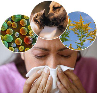 Аллергия - дополнительные признаки