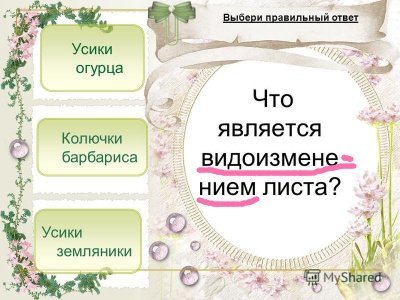 25ec570abc2b0fc1d83961bb417b538c661.jpg