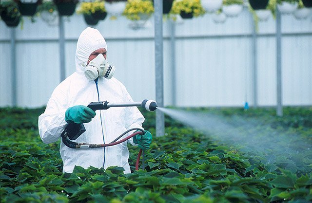 Работа с пестицидами
