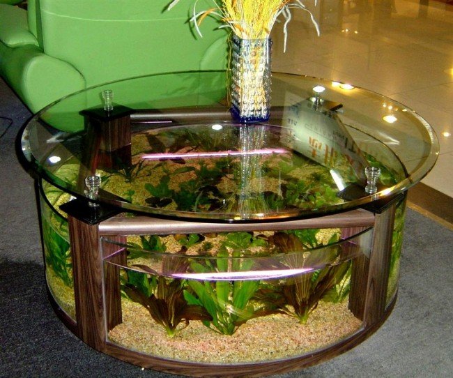 домашний аквариум-стол