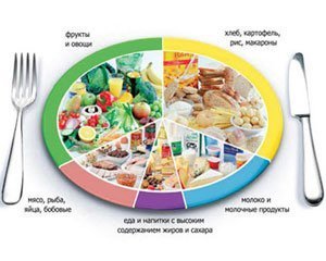 Раздельное питание,  здоровое питание, принцип здорового питания,  диеты,  здоровье,  правильное питание на каждый день, правила здорового питания, рецепты здорового питания