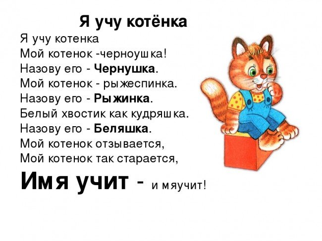 Какое слово пропущено в стихотворении М. Яснова "Я учу котёнка" ?