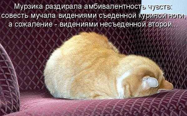 психология и человек