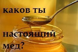 как определить настоящий мед