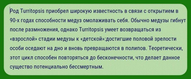 e66be1090ee365b26defedf6988eda82-650.jpg