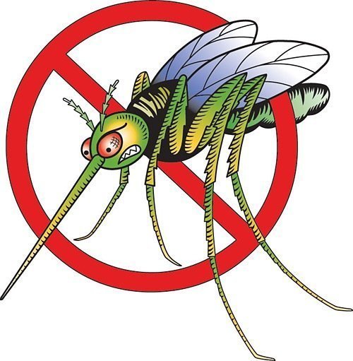 скажи нет комарам
