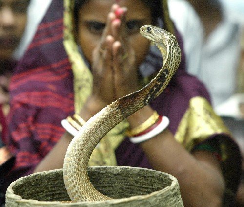 Индия и змеи