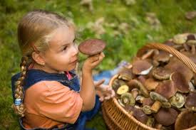 ребенок и грибы