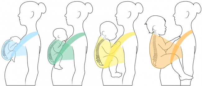 Изменение посадки малыша в слинге