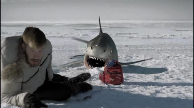 Ледяные акулы: кадр