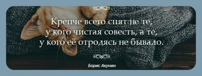 7cf605fe43a3d3d311eb0709e0e3ce8f-650.jpg