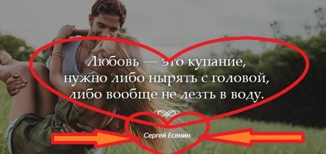 цитата дня