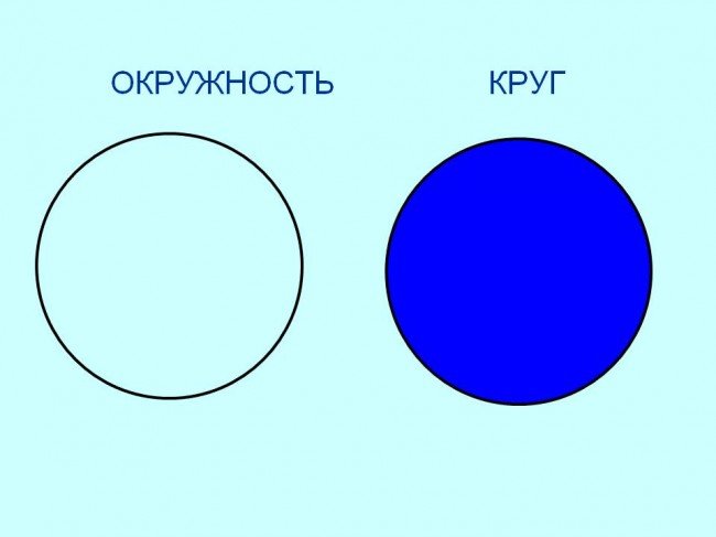 Отличия круга и окружности