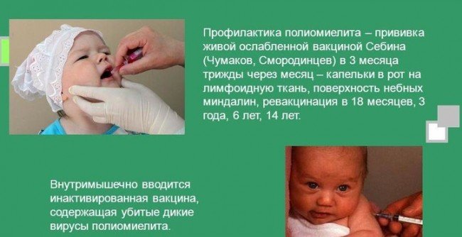 Прививка от полиомиелита